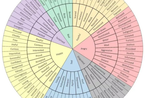 Emotions wheel